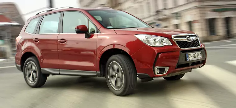 Używane Subaru Forester IV — jest drogi, ale trwały