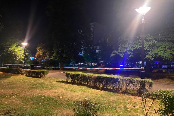 ANDREJ PRAVIO HAOS I BACAO STVARI Detalji hapšenja muškarca koji je KRVNIČKI IZBO DEVOJKU KOD VUKOVOG SPOMENIKA: Lekari joj se bore za život
