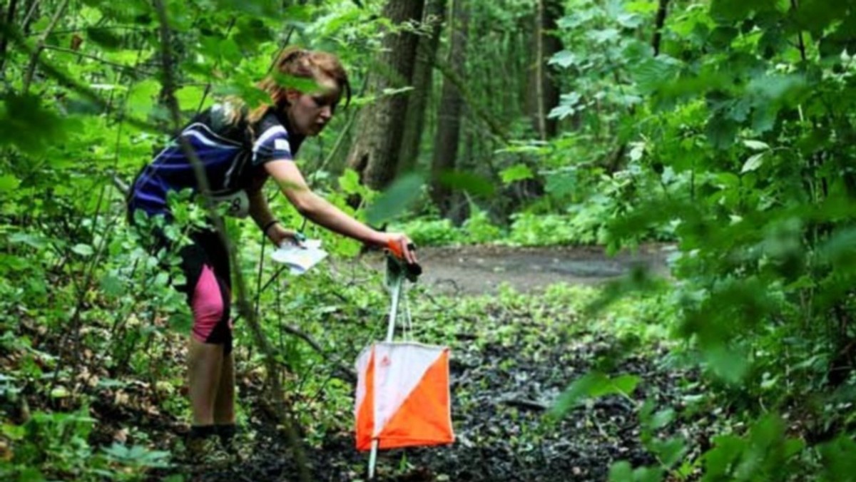 Tegoroczna edycja popularnej imprezy "Limanowa Cup" będzie odbywać się od 26-28 lipca. Organizatorzy spodziewają się uczestników nie tylko z całej Polski, ale także Niemiec, Belgii, Rumunii, Łotwy i Słowacji.