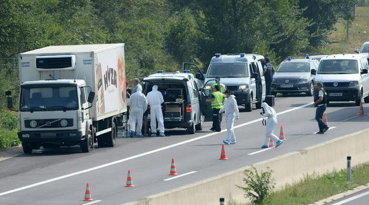 A parndorfi ügyben érintett bűnszervezetnek toborzott sofőröket a bolgár férfi / Fotó: MTI