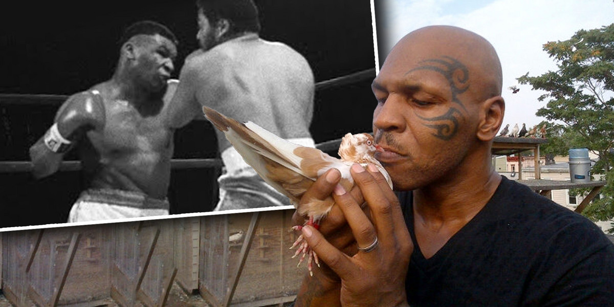 Mike Tyson i jego gołębie. To dzięki nim stał się sławnym pięściarzem.