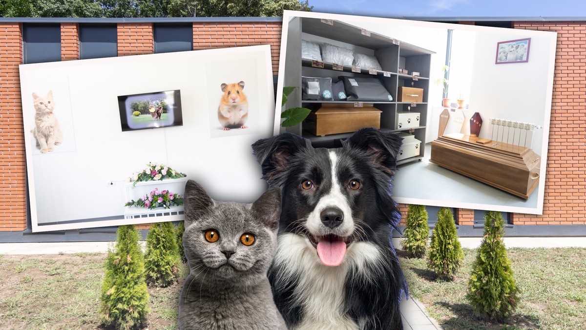 Kako i gde sahraniti kućnog ljubimca u Srbiji: Jedna stvar je strogo zabranjena, a ovo je cela procedura Kép