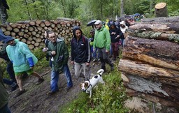 Spór o Puszczę Białowieską: Grzywna dla mężczyzn, którzy zignorowali nakazy strażników leśnych