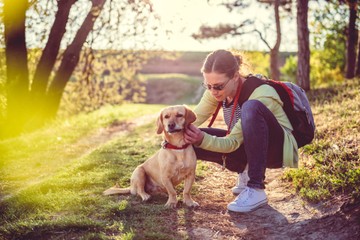 Kullancsinvázió: így védhetjük meg kedvencünket