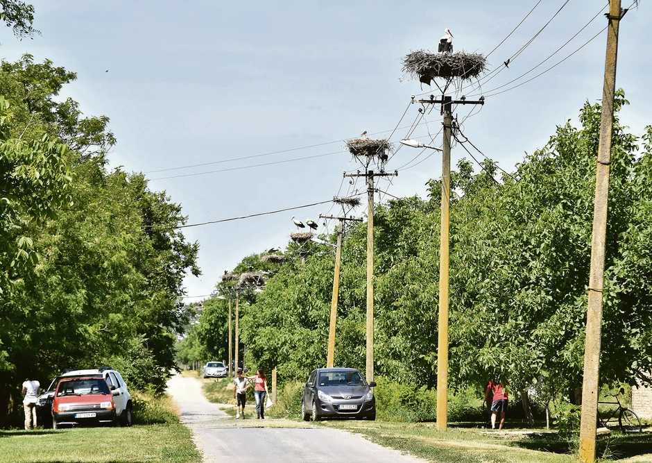 Taraš, evropsko selo roda 