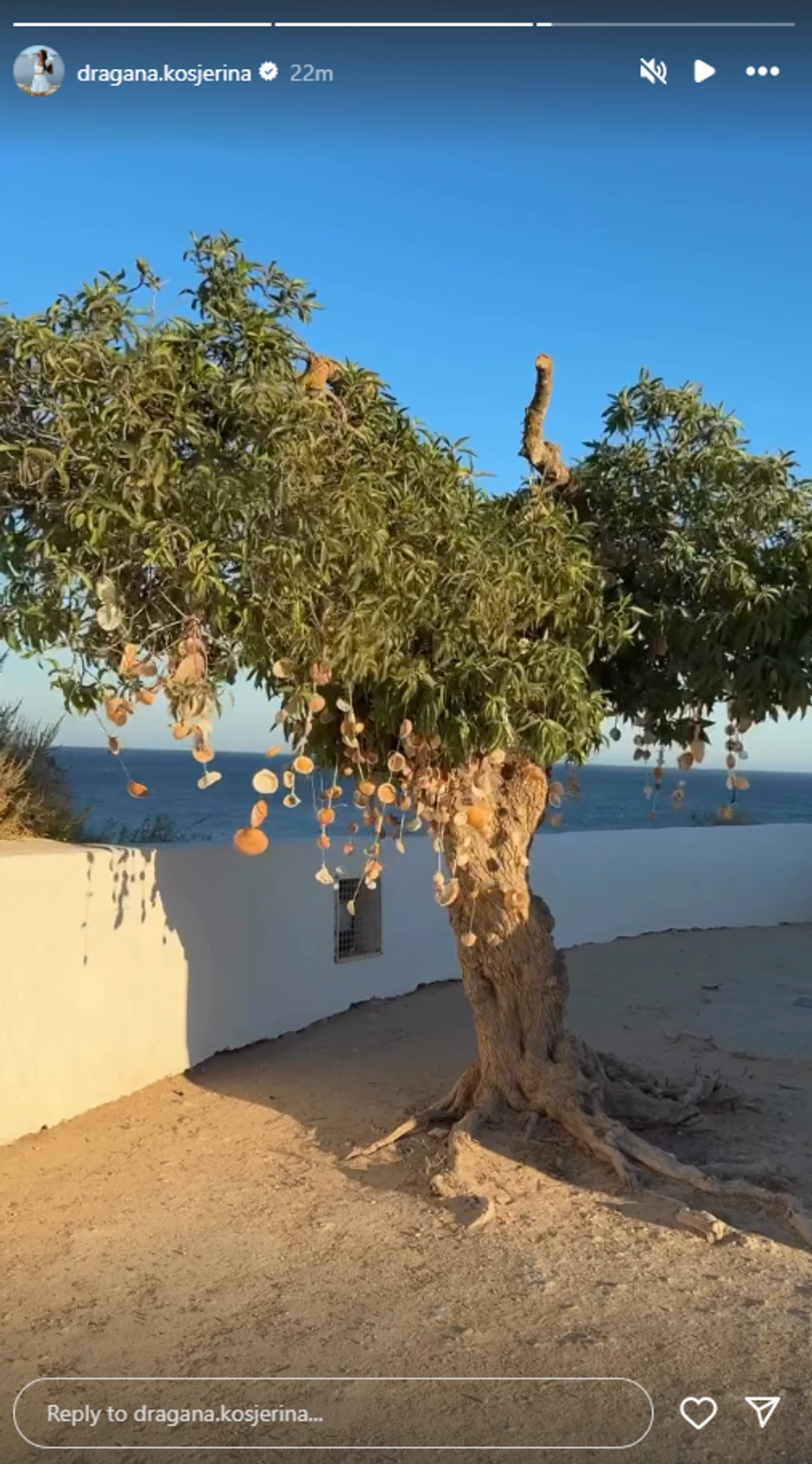 Dragana Kosjerina, objava