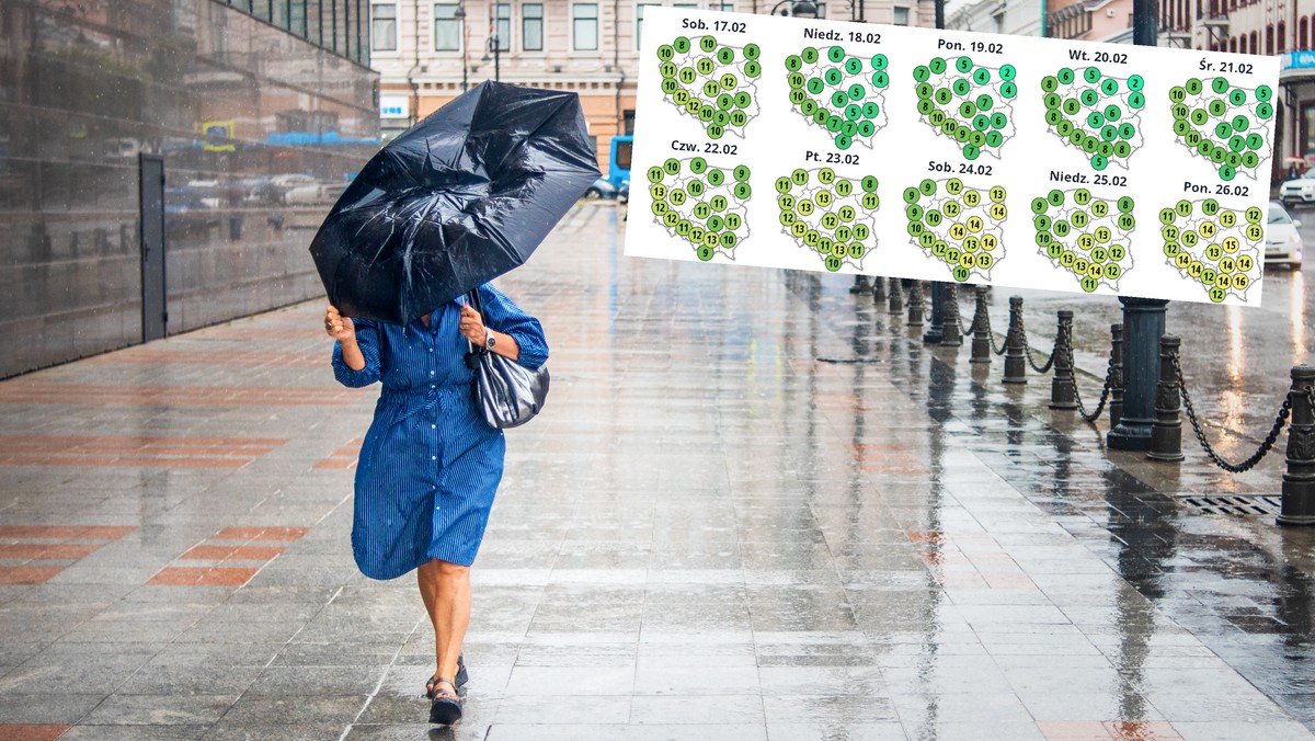 Pogoda. Powrotu zimy kompletnie nie widać. Wiosna rozkręca się na dobre