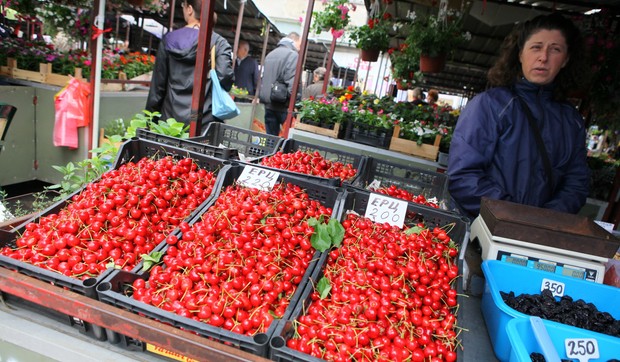 345566_visnja270513ras-foto-m-josida-005