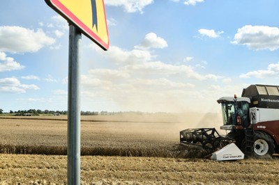 Import zboża z Ukrainy. Wiceminister rolnictwa: Działania państwa były chaotyczne i niespójne