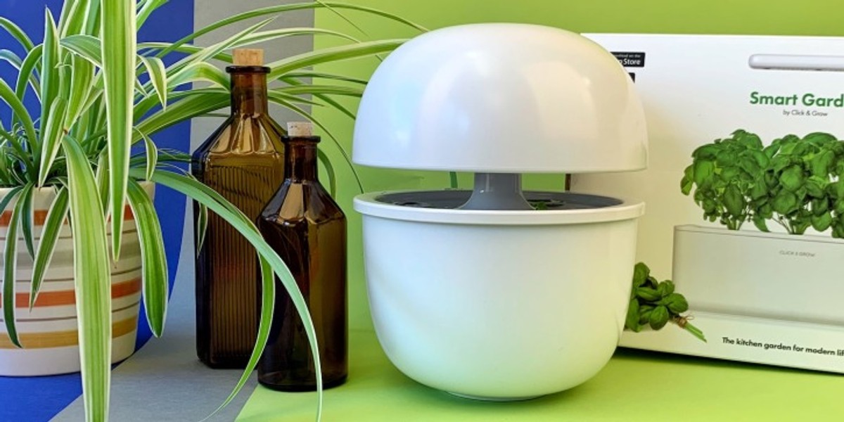 Ratgeber Indoor-Gärten: Kräuter, Gemüse & Anzucht für innen | TechStage