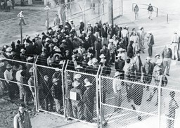 USA przeciwko desperatom szukającym lepszego życia. Pomnikiem tej polityki jest płot na granicy z Meksykiem