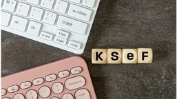 wyboje na starcie krajowego systemu e-faktur: nie ucierpiał ksef, a po