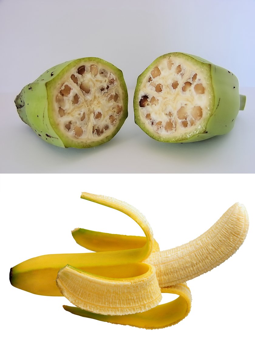 Banan