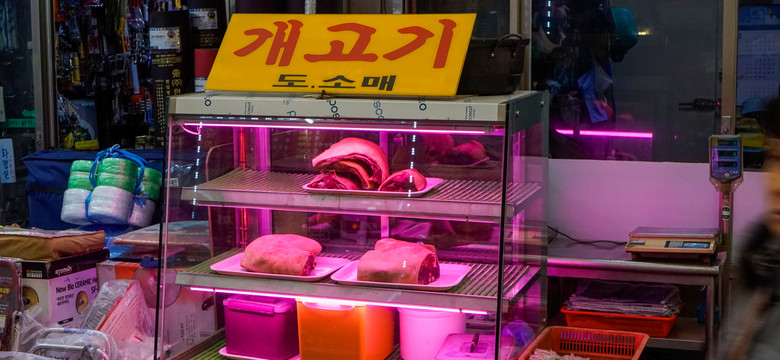 Korea Południowa zakazuje produkcji i sprzedaży psiego mięsa