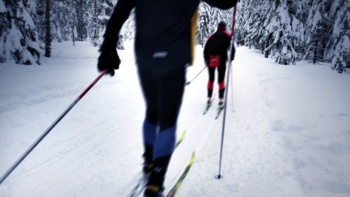 Sześć tras narciarskich o łącznej długości 40 km otwarto w sobotę w Puszczy Piskiej. Trasy mają różną długość, od 2,5 km do 25 km i skupione są wokół wioski Wiartel pod Piszem. Wszystkie trasy są oznakowane i opisane.