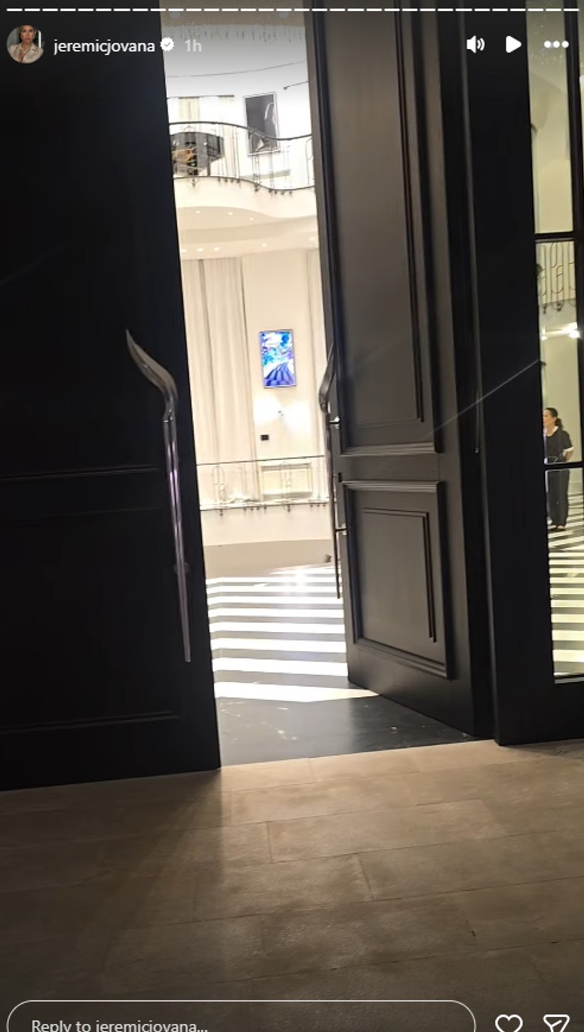 Jovana Jeremić dovela ćerku kod Željka Mitrovića u dvorac