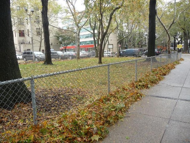 ozdobińska Skutki huraganu Sandy park do tekstu