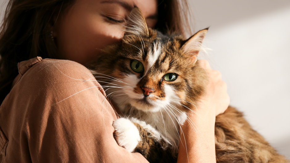 Zachowania społeczne kotów – tego o nich nie wiedziałeś