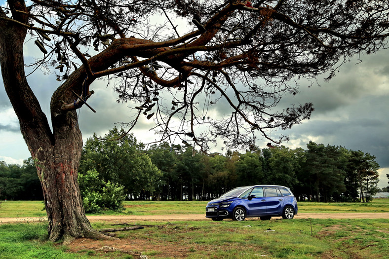 Citroën Grand C4 Picasso 2.0 BlueHDi: test dookoła Polski