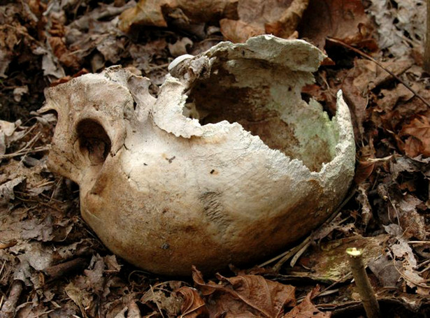 300-letni pierścień może zabić archeologa