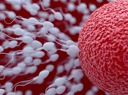 "Jest populacyjne pogorszenie parametrów nasienia". Coraz więcej Polaków ma problem z płodnością