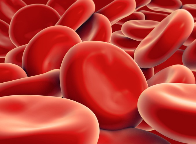 Tajemnice ludzkiego ciała