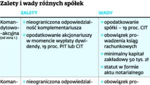 Zalety i wady różnych spółek