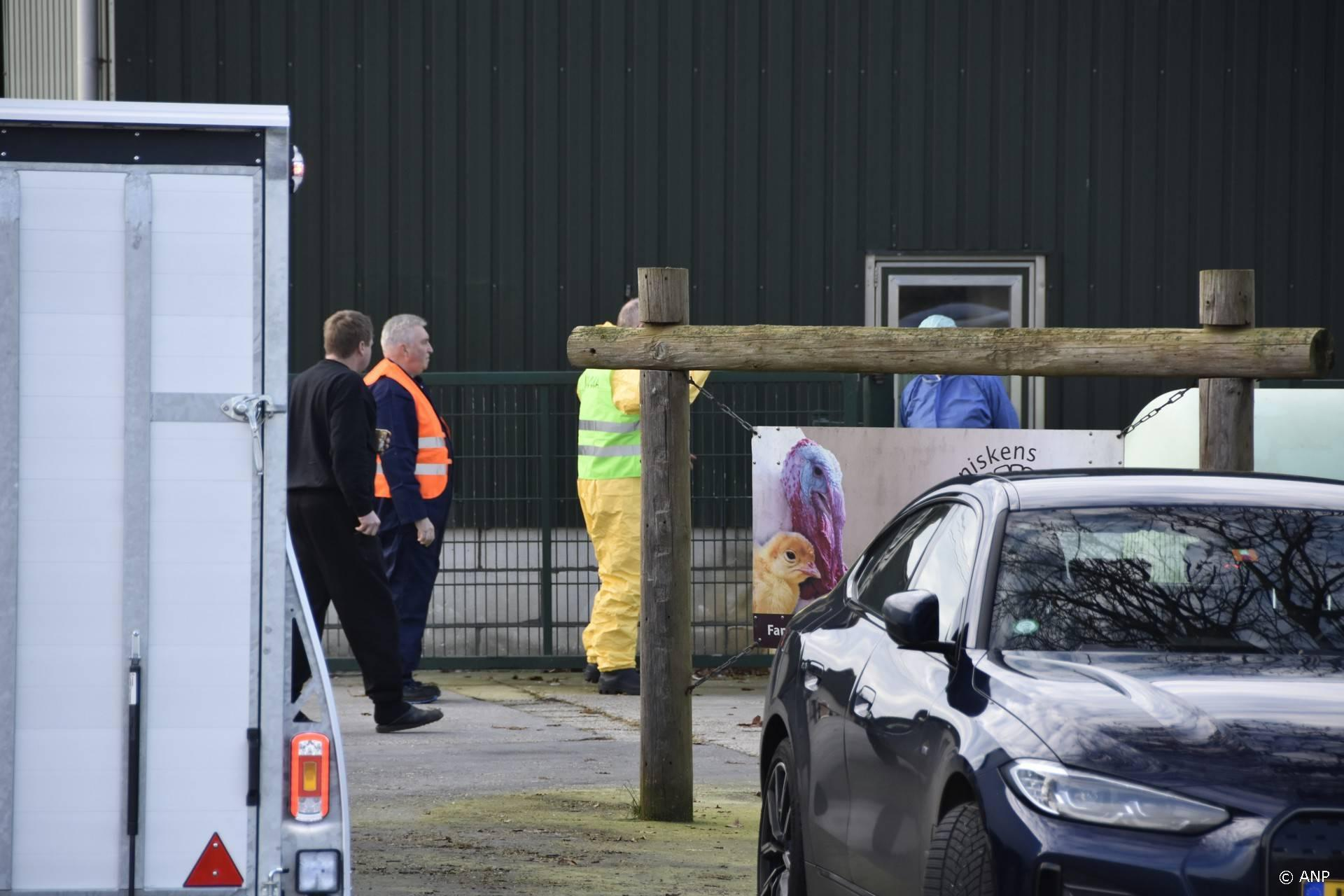 Derde keer in ruim een week: 153.000 kippen geruimd na vogelgriep Ysselsteyn