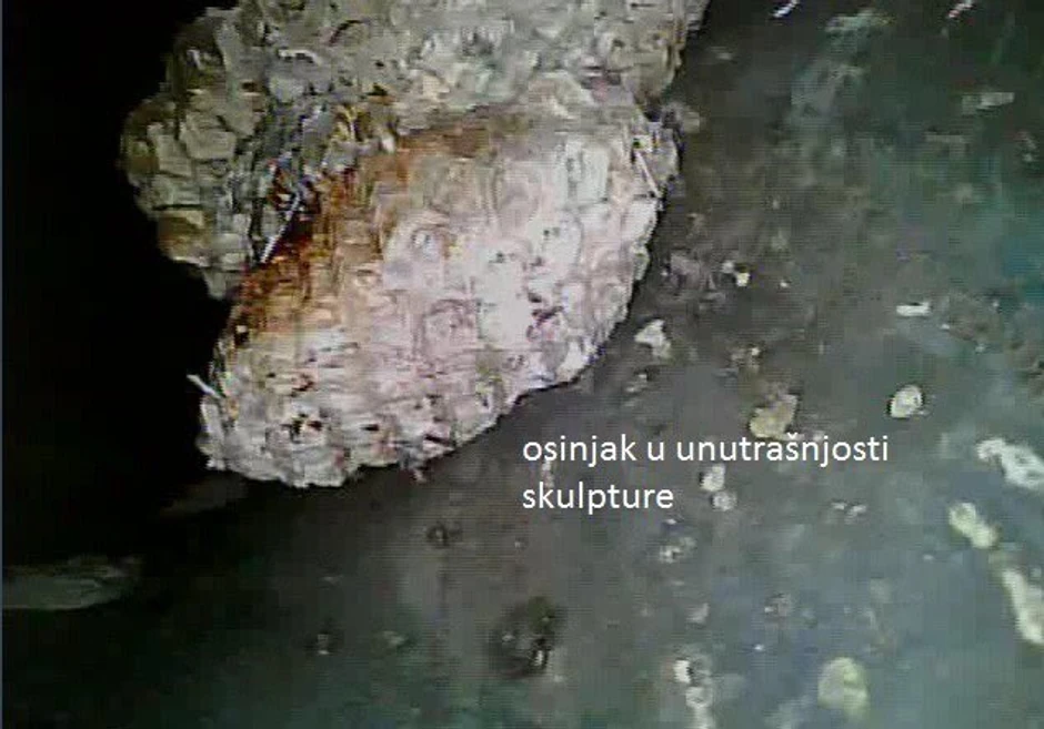 Pronađeni osinjak unutar figure