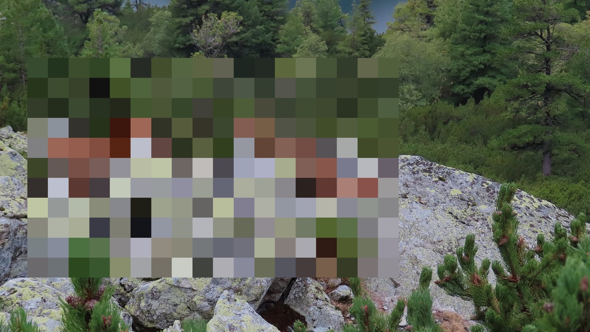 Návštevník mal v Tatrách obrovské šťastie.