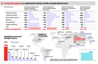 Elektrownia jądrowa przegrała z kryzysem. Problemy z brakiem prądu dla kolejnych rządów