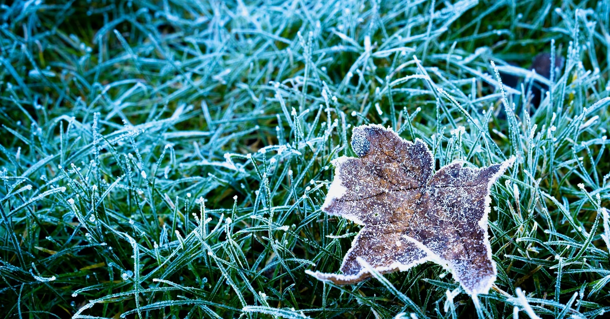 Koniec lata. Idzie ochłodzenie. Gdzie w Polsce pojawią się przymrozki?