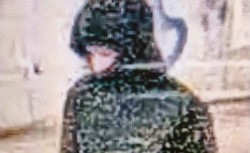 Dewastacja elewacji synagogi we Wrocławiu. Opublikowano wizerunek poszukiwanego mężczyzny