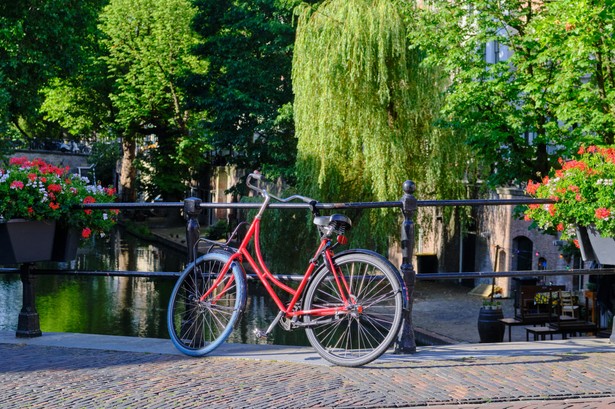 Cyfrowe euro w Holandii? Rozmowy dopiero się zaczęły