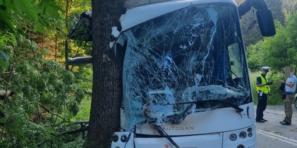 Ogorzelec. Wypadek autobusu wycieczkowego. 