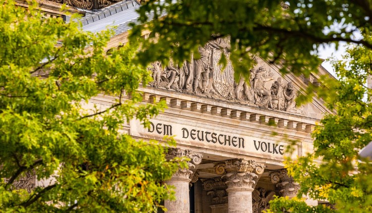 Milion drzew za trzy miliardy euro. Burza w Niemczech. Absolutny żart"