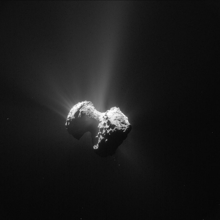 Zdjęcie komety zrobione 20 lipca
