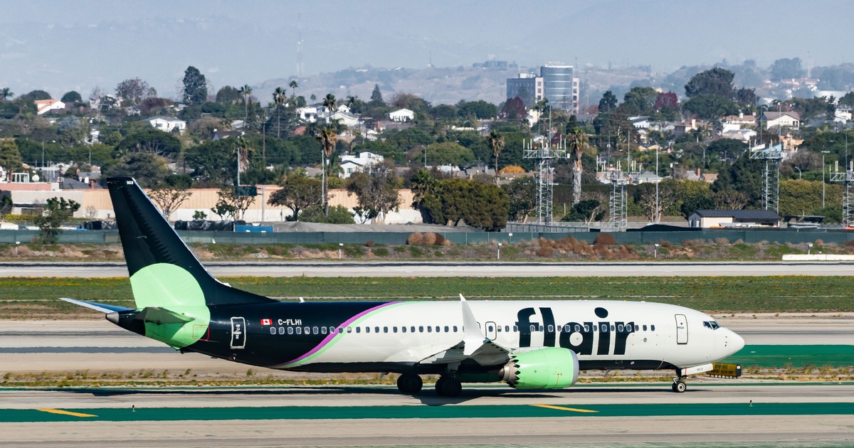A Boeing 737 Max encountered a flock of geese, leaving the windshield