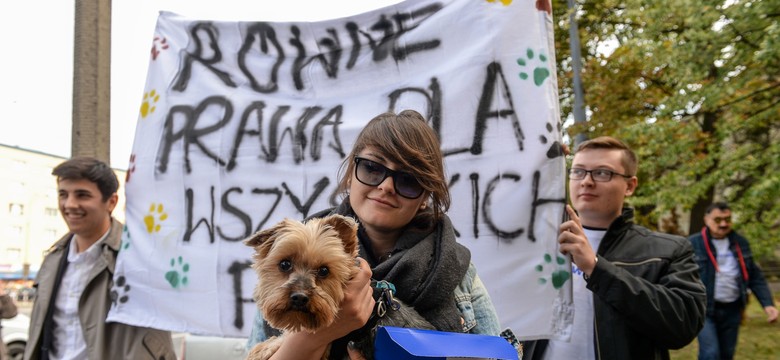 Happening NowoczesnejPl przed siedzibą Solidarności. Członkowie partii domagali się równości dla psów [FOTO]