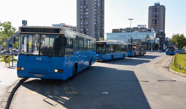 Novi Sad380 autobusi gradski prevoz gsp foto Nenad Mihajlovic