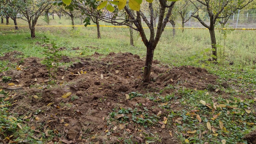 Novac pronađen u dvorištu Stefana Džonića