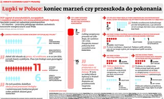Łupki rozebrane na czynniki pierwsze: Jak eksperci oceniają perspektywy rozwoju gazu w Polsce