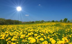 Pierwszy dzień lata 2023. Kiedy jest lato kalendarzowe, astronomiczne i meteorologiczne?