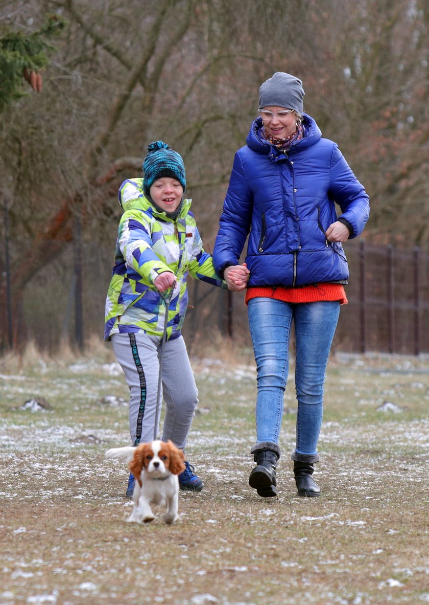 Suczka Abi uczy się być dogoterapeutką