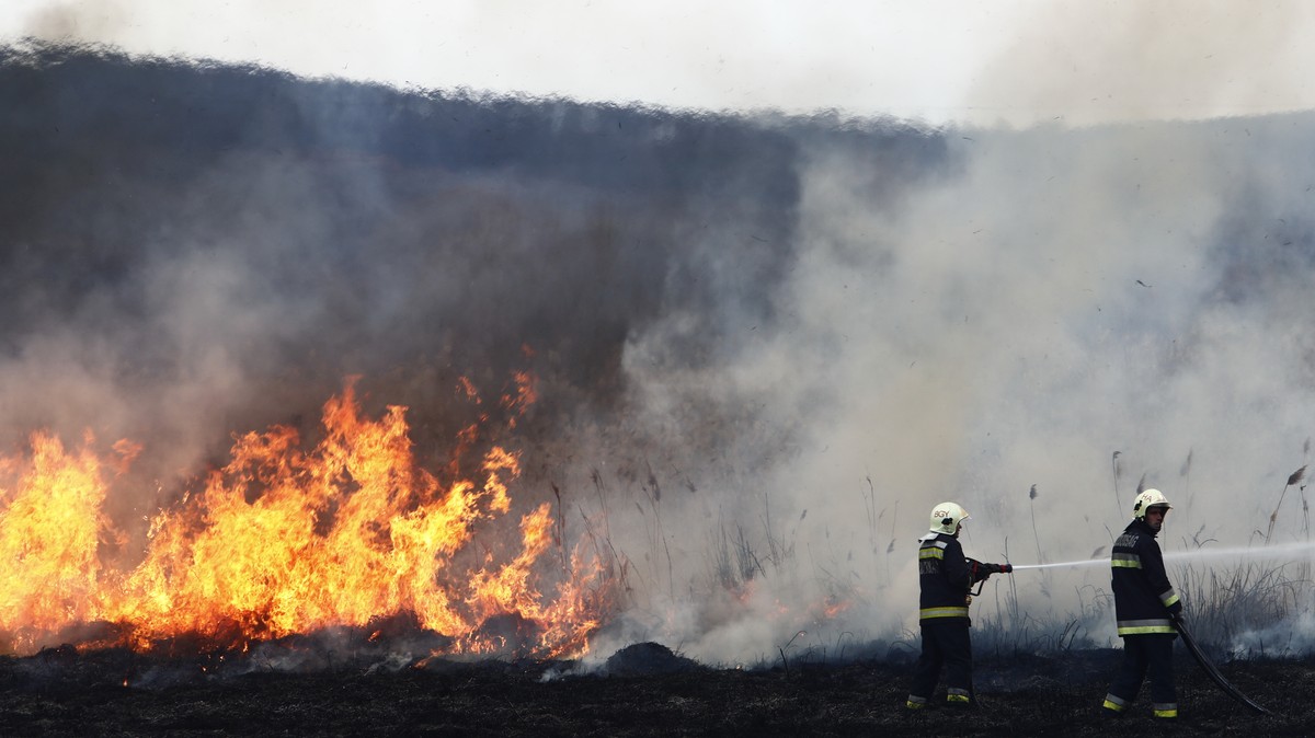 A kánikula utolsó napjaiban fellobbant a pokol tüze Vönöck és Kenyeri között – 200 tűzoltó érkezett a helyszínre