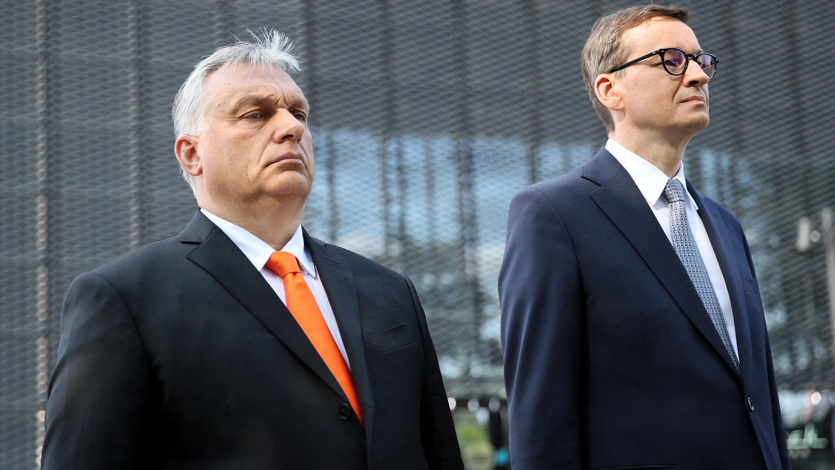 Polska i Węgry wzorem dla AfD. Prawniczka ostrzega Niemców przed AfD