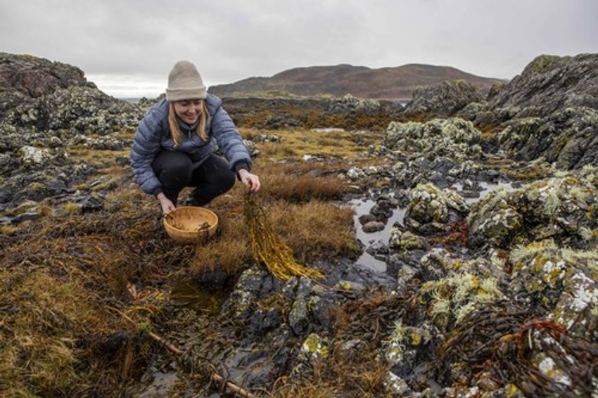 Ostrvo Eilean Sionnach