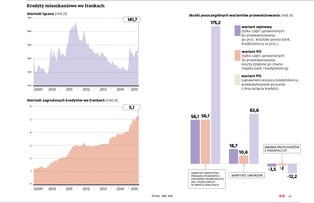 Prezydent będzie hojny dla frankowiczów. Andrzej Duda chce zmiękczyć stanowisko banków