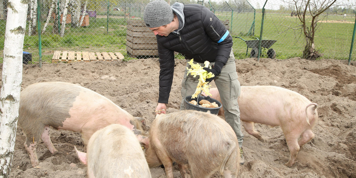 Marcin Dorociński w schronisku