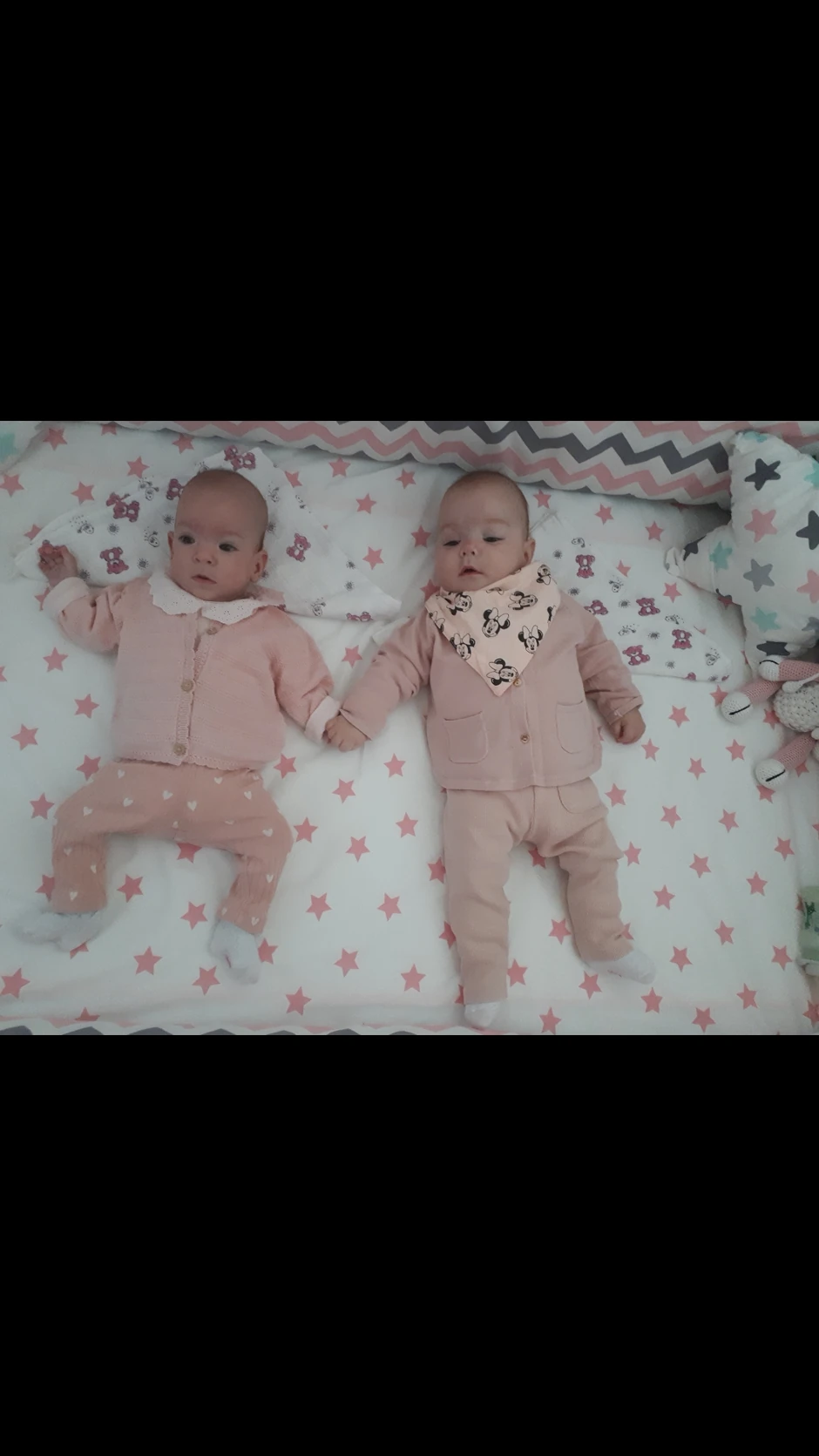 Jelenine bliznakinje